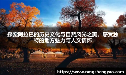 OD体育平台